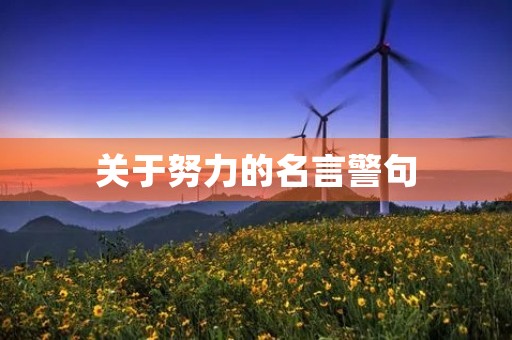 关于努力的名言警句，关于努力的名言警句简短