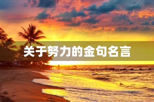 关于努力的金句名言，关于努力的金句名言短句