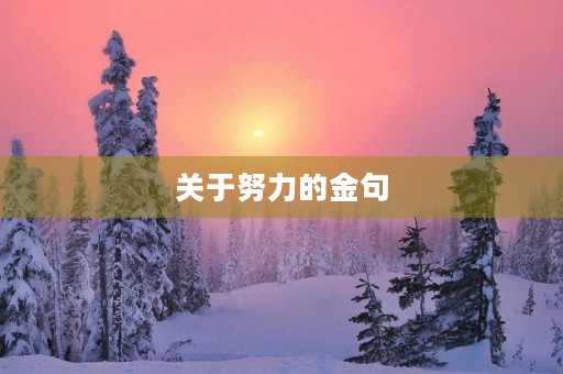 关于努力的金句,人民日报关于努力的金句 关于努力的金句,人民日报关于努力的金句