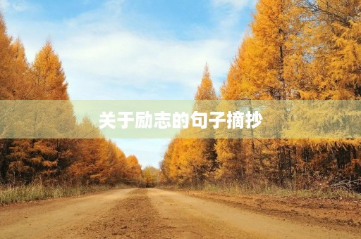 关于励志的句子摘抄,关于励志的句子摘抄100字 关于励志的句子摘抄,关于励志的句子摘抄100字