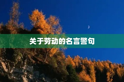 关于劳动的名言警句(关于劳动的名言警句简短)