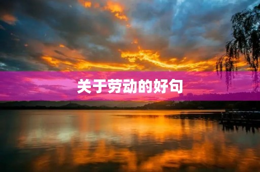 关于劳动的好句(关于劳动的好句子摘抄)