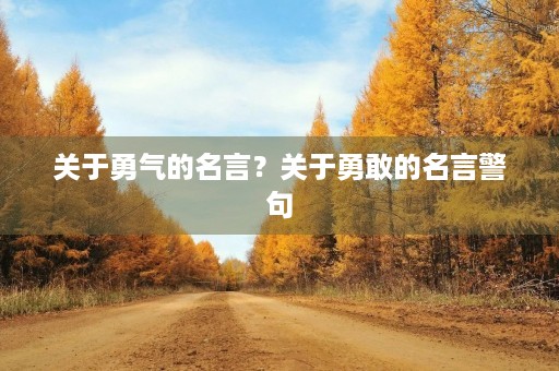 关于勇气的名言?关于勇敢的名言警句 关于勇气的名言?关于勇敢的名言警句