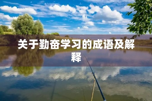 关于勤奋学习的成语及解释