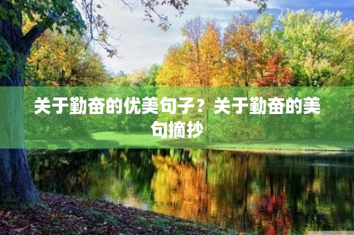 关于勤奋的优美句子？关于勤奋的美句摘抄