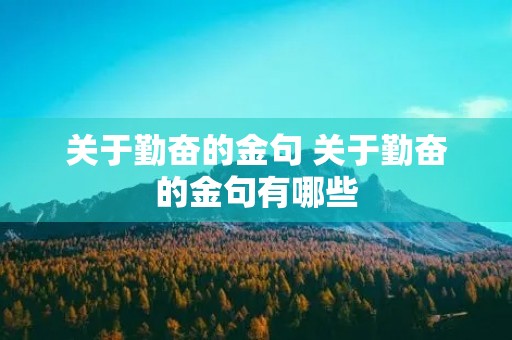 关于勤奋的金句 关于勤奋的金句有哪些