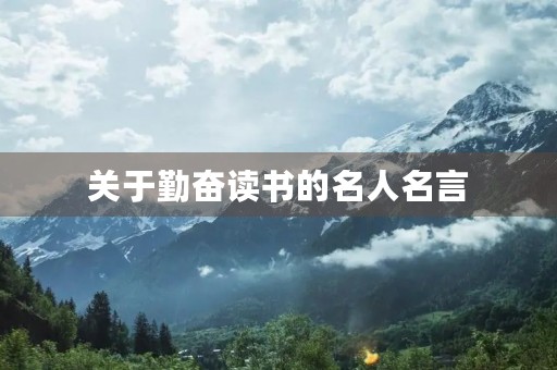 关于勤奋读书的名人名言(关于勤奋读书的名人名言或词语)