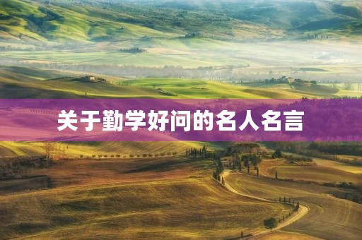 关于勤学好问的名人名言，关于勤学好问的名人名言四年级