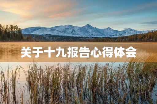 关于十九报告心得体会(学习十九大心得体会500字)