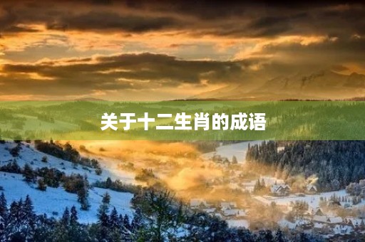关于十二生肖的成语