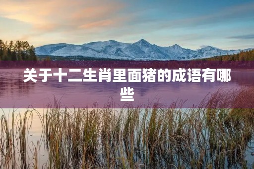 关于十二生肖里面猪的成语有哪些
