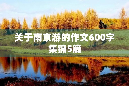 关于南京游的作文600字集锦5篇 关于南京游的作文600字集锦5篇