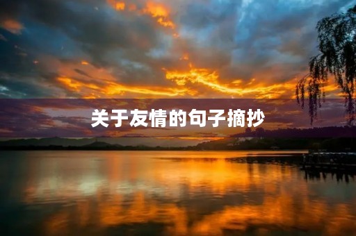 关于友情的句子摘抄，关于友情的句子摘抄100字