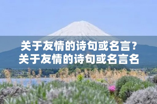 关于友情的诗句或名言?关于友情的诗句或名言名句 关于友情的诗句或名言?关于友情的诗句或名言名句