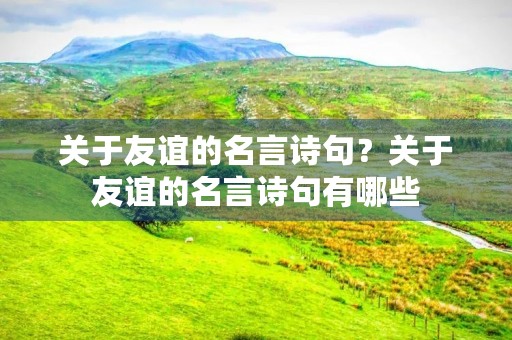 关于友谊的名言诗句?关于友谊的名言诗句有哪些 关于友谊的名言诗句?关于友谊的名言诗句有哪些