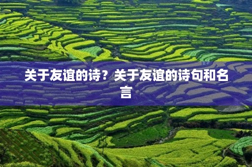 关于友谊的诗?关于友谊的诗句和名言 关于友谊的诗?关于友谊的诗句和名言