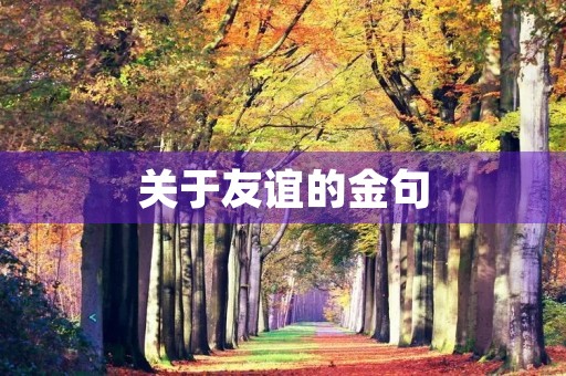 关于友谊的金句(关于友谊的金句英语)