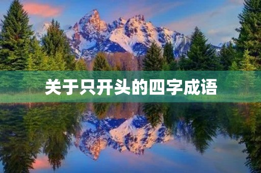 关于只开头的四字成语