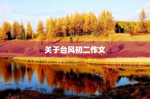 关于台风初二作文
