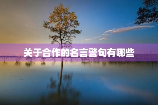 关于合作的名言警句有哪些(关于合作的名言警句有哪些古代)