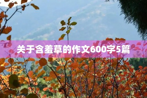 关于含羞草的作文600字5篇