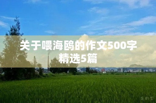 关于喂海鸥的作文500字精选5篇 关于喂海鸥的作文500字精选5篇