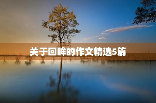 关于回眸的作文精选5篇 关于回眸的作文精选5篇