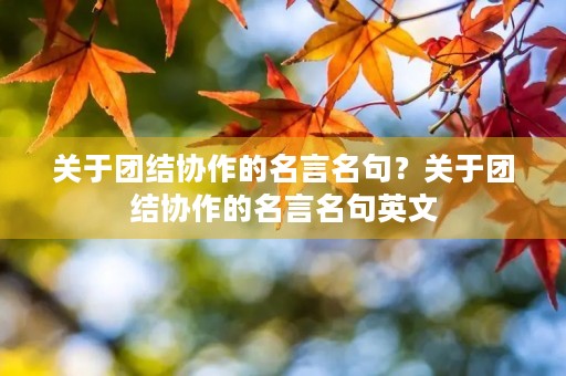 关于团结协作的名言名句？关于团结协作的名言名句英文