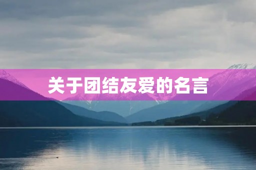 关于团结友爱的名言(关于团结友爱的名言有哪些)