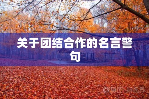 关于团结合作的名言警句(关于团结合作的名言警句是什么) 关于团结合作的名言警句(关于团结合作的名言警句是什么)