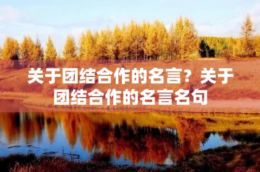 关于团结合作的名言？关于团结合作的名言名句