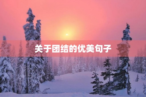 关于团结的优美句子，关于团结的优美句子简短摘抄