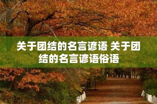 关于团结的名言谚语 关于团结的名言谚语俗语 关于团结的名言谚语 关于团结的名言谚语俗语