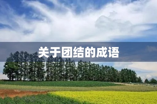 关于团结的成语