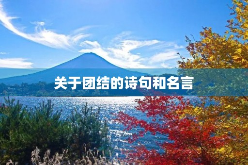 关于团结的诗句和名言(彰显团队凝聚力的诗句) 关于团结的诗句和名言(彰显团队凝聚力的诗句)