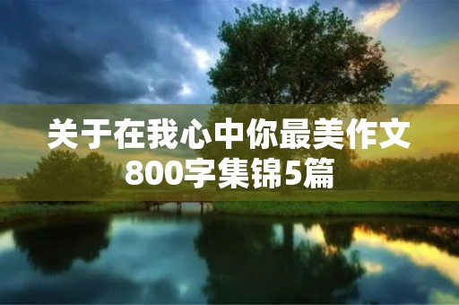 关于在我心中你最美作文800字集锦5篇 关于在我心中你最美作文800字集锦5篇