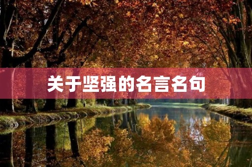 关于坚强的名言名句，关于坚强的名言名句的摘抄