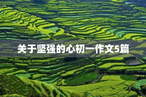 关于坚强的心初一作文5篇 关于坚强的心初一作文5篇