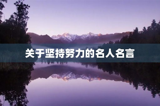 关于坚持努力的名人名言(关于坚持努力的名人名言,二十字左右) 关于坚持努力的名人名言(关于坚持努力的名人名言,二十字左右)