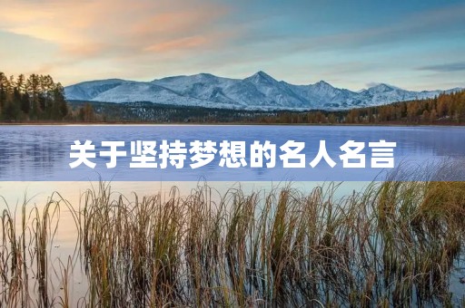 关于坚持梦想的名人名言(关于坚持梦想的名人名言简短)