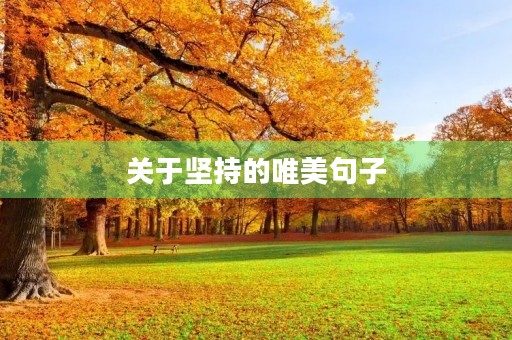 关于坚持的唯美句子，关于坚持的唯美句子题记