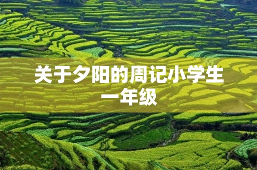 关于夕阳的周记小学生一年级 关于夕阳的周记小学生一年级