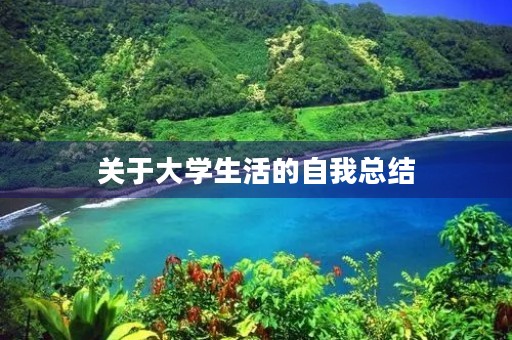 关于大学生活的自我总结