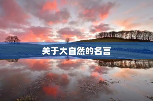关于大自然的名言(大自然最治愈短句)
