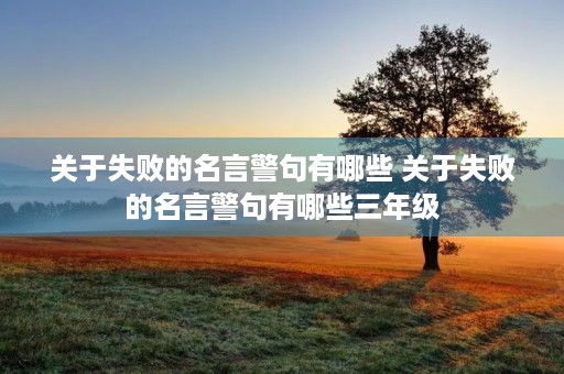 关于失败的名言警句有哪些 关于失败的名言警句有哪些三年级 关于失败的名言警句有哪些 关于失败的名言警句有哪些三年级