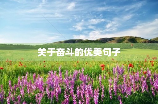 关于奋斗的优美句子，关于奋斗的优美短句