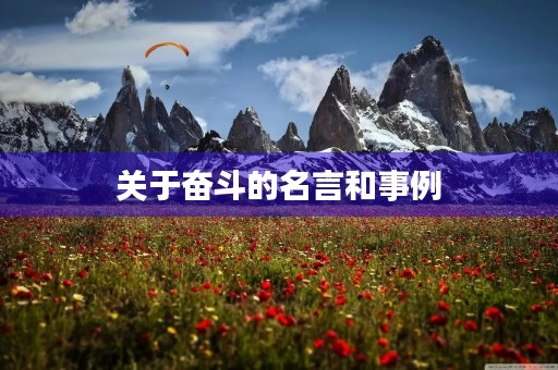 关于奋斗的名言和事例(名人奋斗的事例简短100) 关于奋斗的名言和事例(名人奋斗的事例简短100)