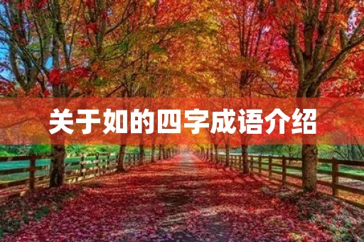 关于如的四字成语介绍