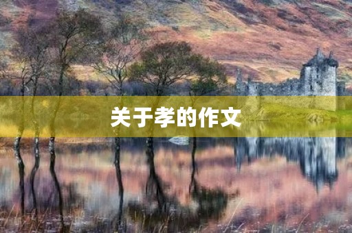 关于孝的作文 关于孝的作文