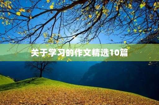 关于学习的作文精选10篇